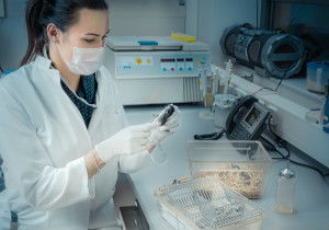 游戏软件设计制作的技术服务采购指南